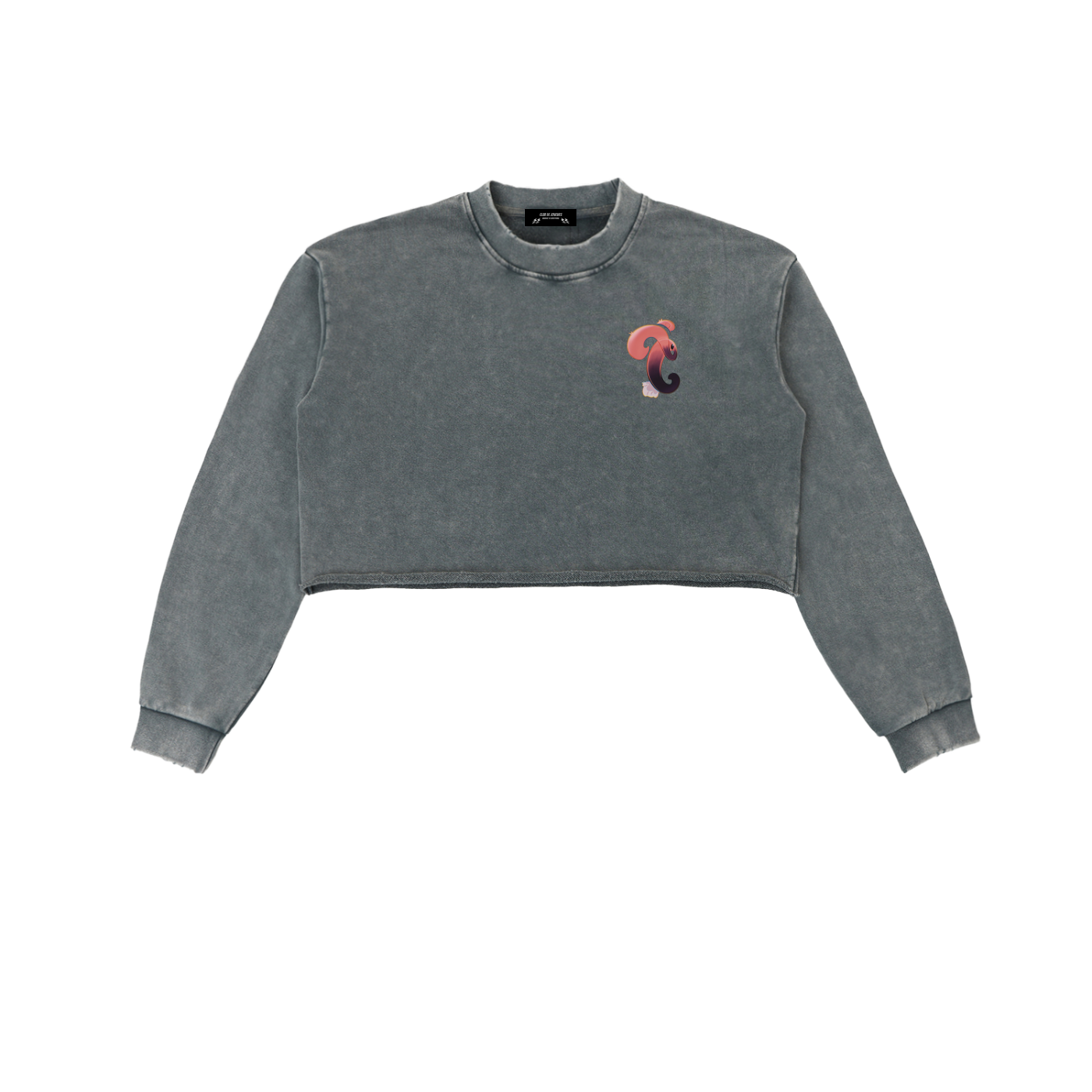CDJ Crop Sweatshirt