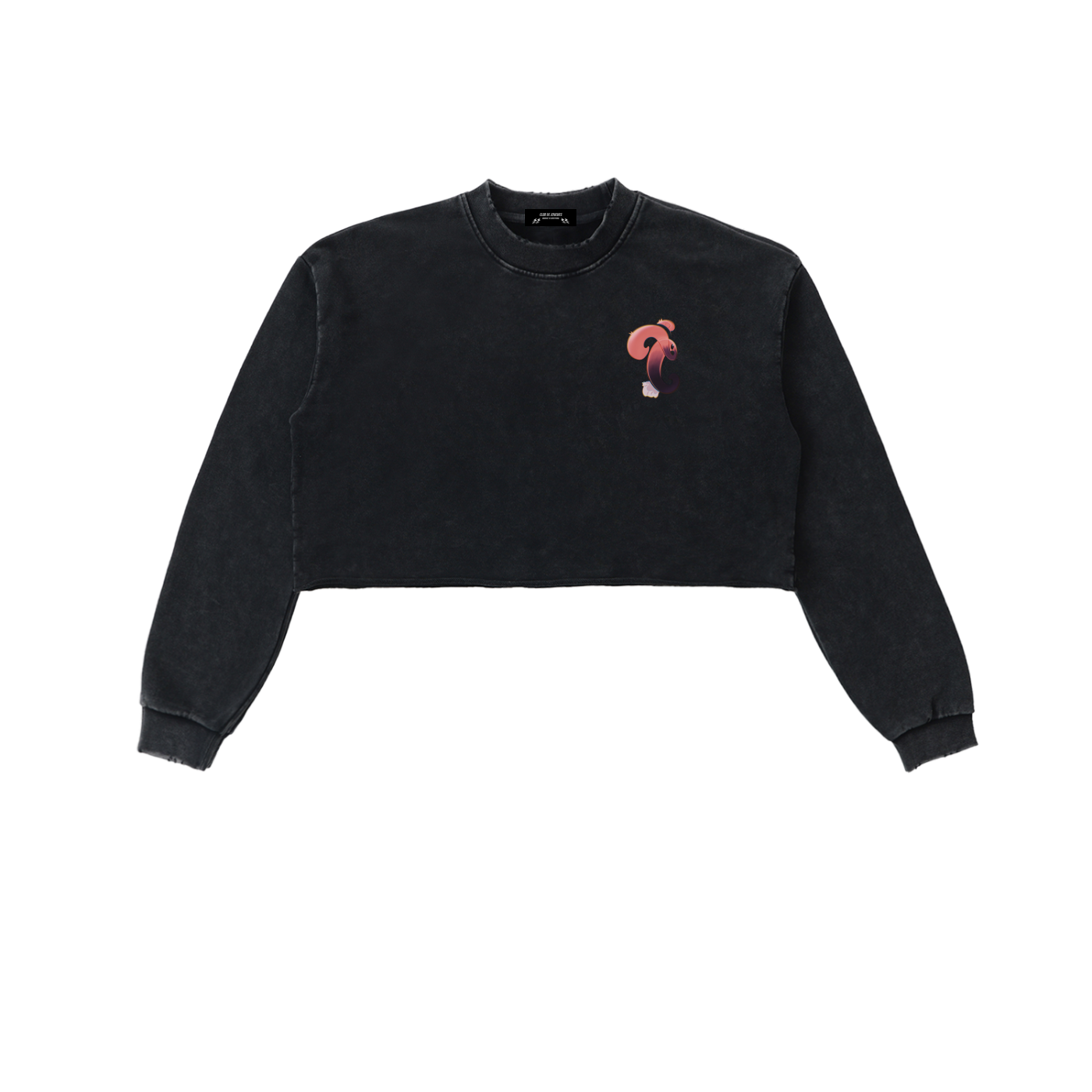 CDJ Crop Sweatshirt
